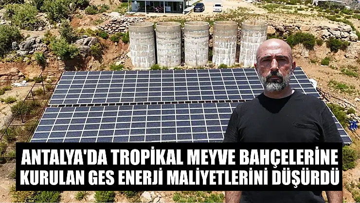 Antalya'da tropikal meyve bahçelerine kurulan GES enerji maliyetlerini düşürdü
