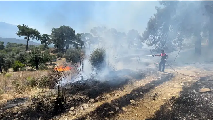 ARAZİ YANGINI KORKUTTU