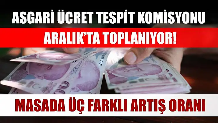 Asgari Ücret Tespit Komisyonu Aralık'ta toplanıyor! Masada üç farklı artış oranı