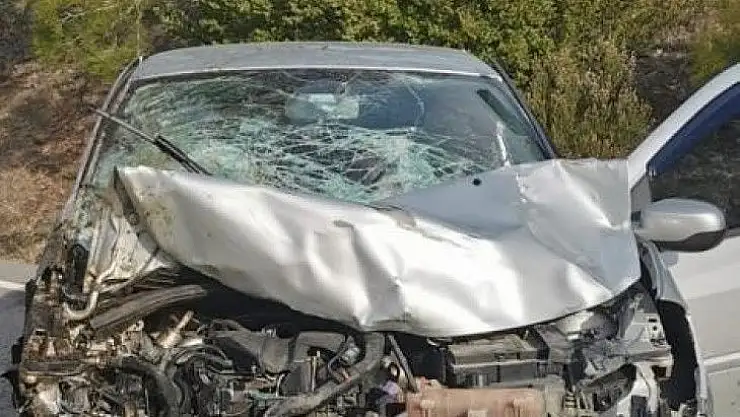 Datça da atla çarpışan araç hurdaya döndü