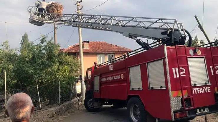 Ayağına ip dolanan Leylek İtfaiye tarafından kurtarıldı