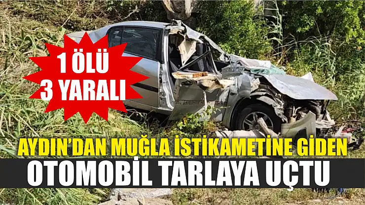 Aydın'dan Muğla istikametine giden otomobil tarlaya uçtu 1 ölü, 3 yaralı