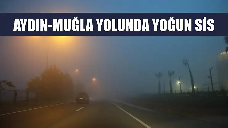 Aydın-Muğla yolunda yoğun sis