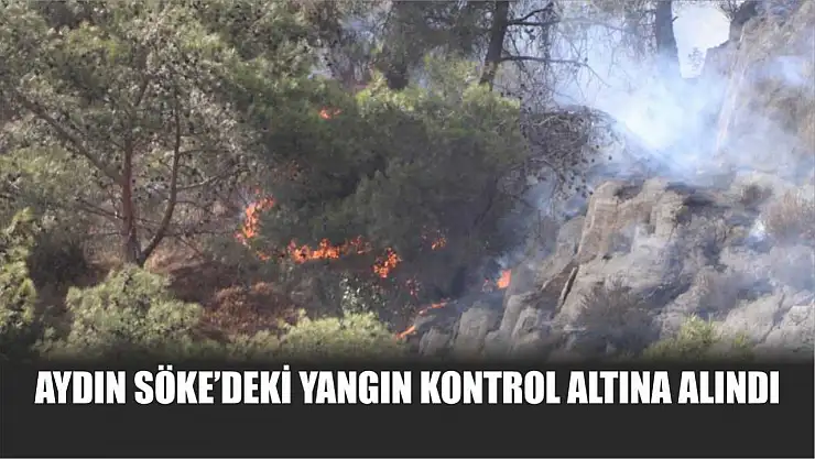 Aydın Söke'deki yangın kontrol altına alındı