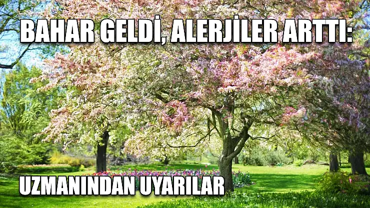 Bahar geldi, alerjiler arttı: Uzmanından uyarılar
