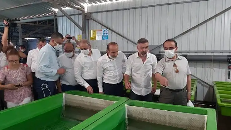 BAKAN YARDIMCISI ÖZKALDI ALABALIK TESİSİNİ İNCELEDİ