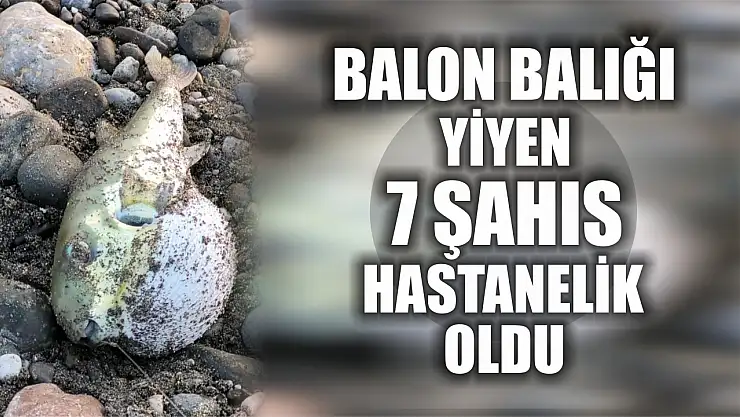 Balon balığı yiyen 7 şahıs hastanelik oldu