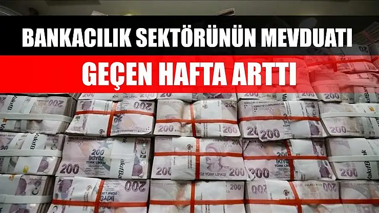 Bankacılık sektörünün mevduatı geçen hafta arttı