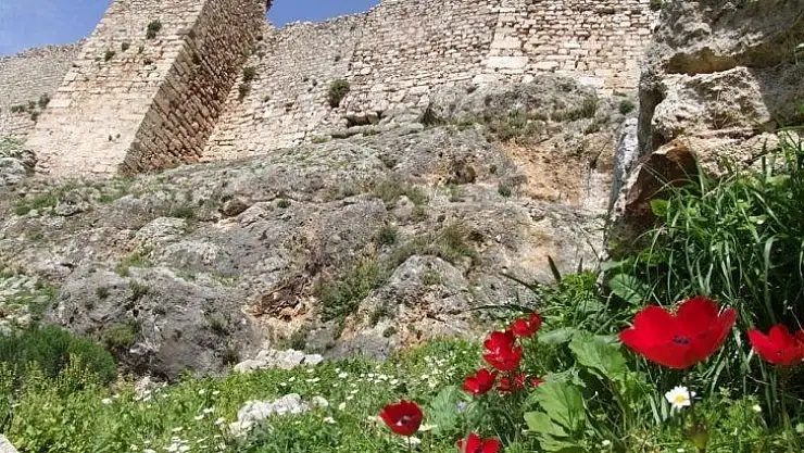 Beçin'in kalıcı listeye alınması için girişim başlatıldı