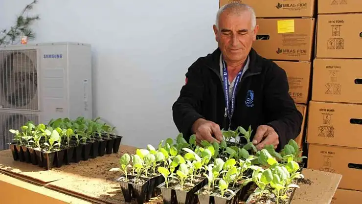 Bodrum'da 142 bin hibe fide üreticiyle buluştu