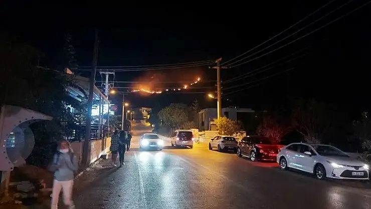 Bodrum'da 2 hektar alan yanında zarar gördü