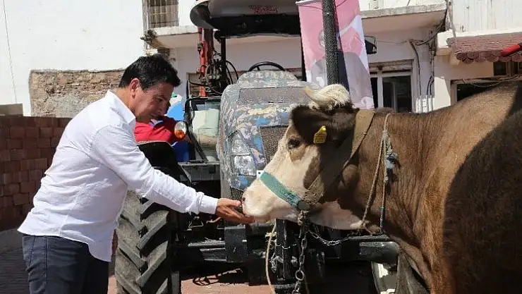 Bodrum'da alım garantili üretim için ilk adım atıldı