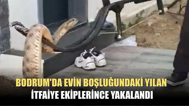 Bodrum'da evin boşluğundaki yılan itfaiye ekiplerince yakalandı