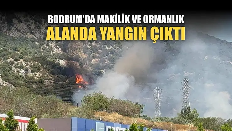 Bodrum'da makilik ve ormanlık alanda yangın çıktı