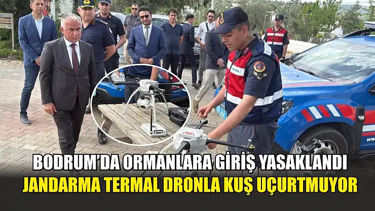 Bodrum'da ormanlara giriş yasaklandı, jandarma termal dronla kuş uçurtmuyor