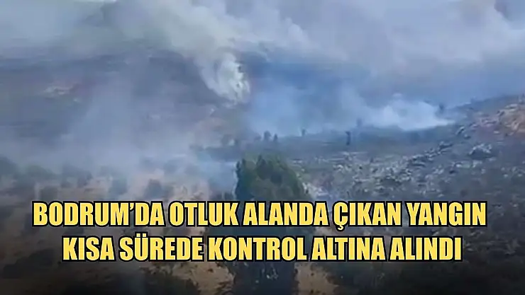 Bodrum'da otluk alanda çıkan yangın kısa sürede kontrol altına alındı