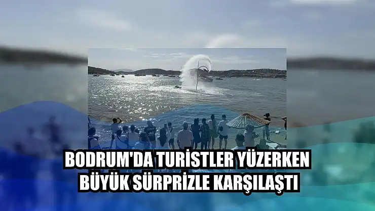 Bodrum'da turistler yüzerken büyük sürprizle karşılaştı