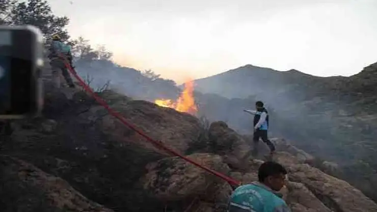 BODRUM'DA YENİDEN BAŞLAYAN ORMAN YANGINI KONTROL ALTINA ALINDI