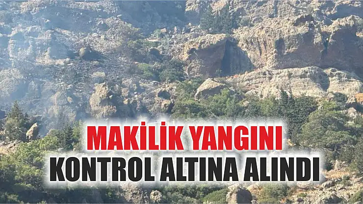 Bodrum'daki makilik yangını kontrol altına alındı