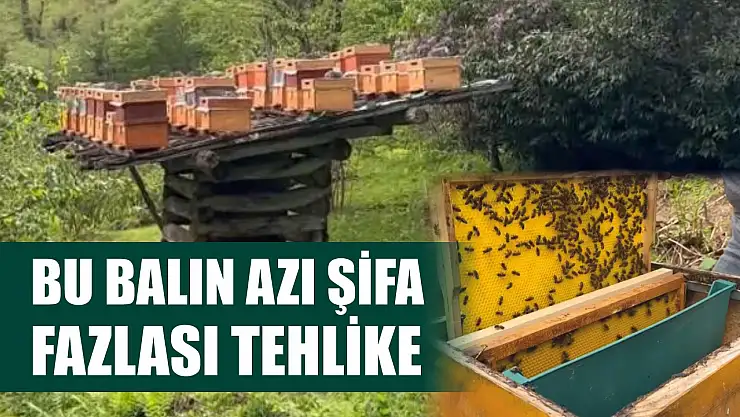Bu balın azı şifa, fazlası tehlike
