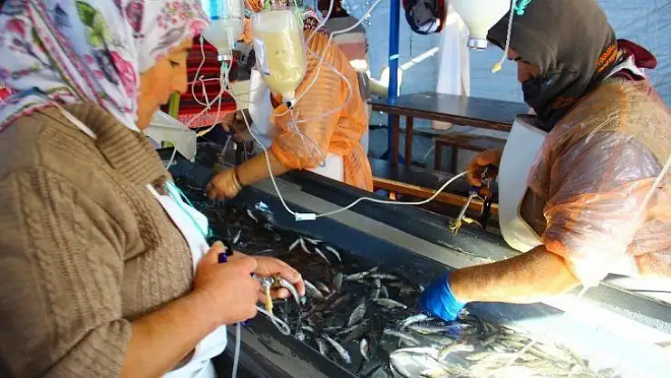Bu da balık hastanesi, bu kadınların  ne yaptığını duyunca çok şaşıracaksınız