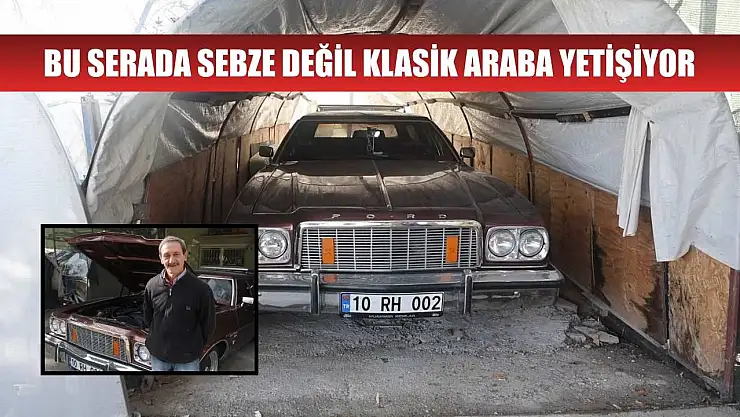 Bu serada sebze değil klasik araba yetişiyor