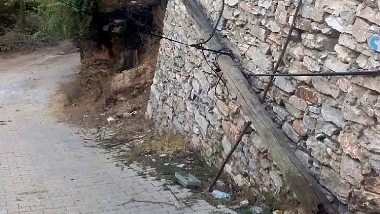 Budama sırasında devrilen ağaç köyün başına iş açtı