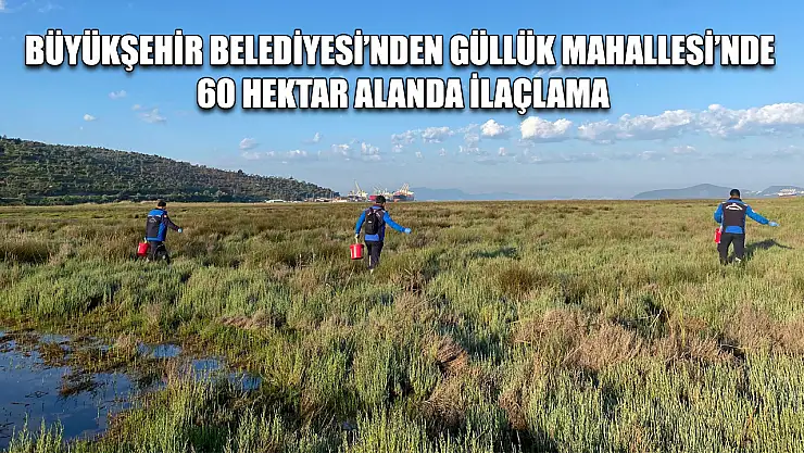Büyükşehir Belediyesi'nden Güllük Mahallesi'nde 60 Hektar Alanda İlaçlama