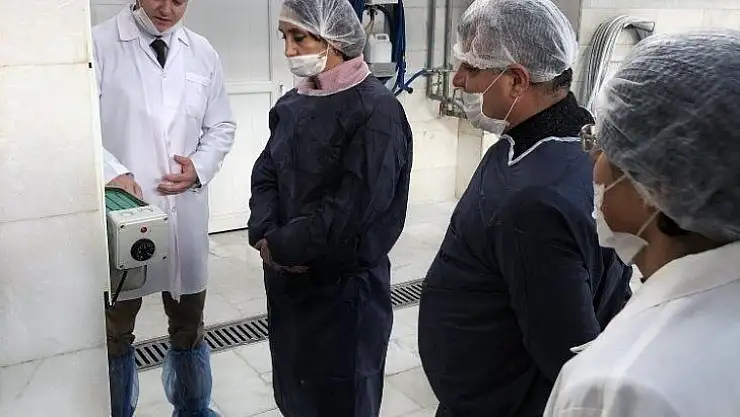 Büyükşehir Mezbahaları Kaliteli Hizmetle Sertifikalarını Yeniledi