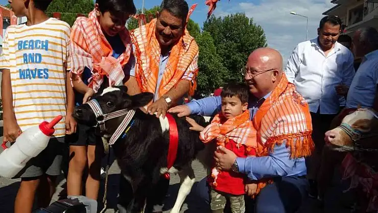 BUZAĞILAR PODYUMA ÇIKTI