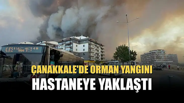 Çanakkale'de orman yangını hastaneye yaklaştı