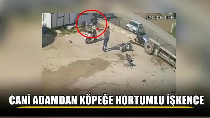 Cani adamdan köpeğe hortumlu işkence
