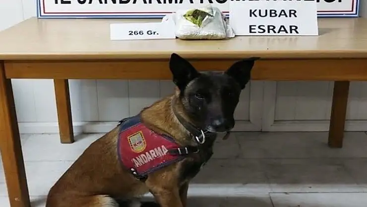 Cezaevinden izinli ayrıldı, dönüşte uyuşturucu ile yakalandı