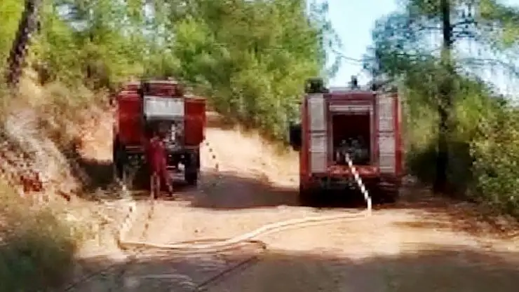 Cumhurbaşkanlığı konuk evi yolu üzerinde yangın