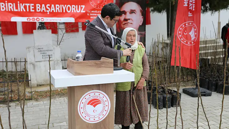 DALAMAN'DA BİN 470 ADET DALAMAN KAYA İNCİRİ FİDANI TOPRAKLA BULUŞTU