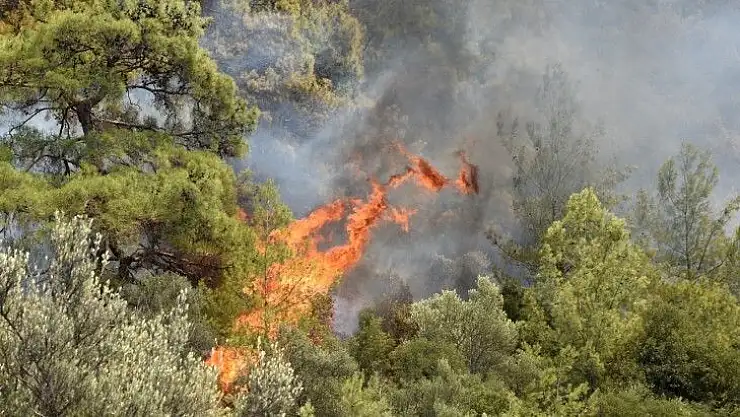 Dalaman'da da yangın başladı