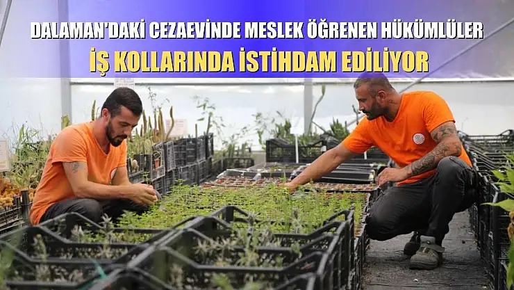 Dalaman'daki cezaevinde meslek öğrenen hükümlüler iş kollarında istihdam ediliyor