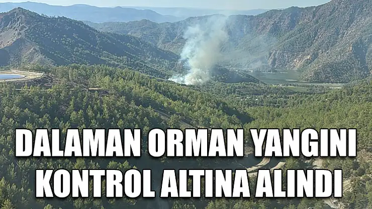 Dalaman orman yangını kontrol altına alındı