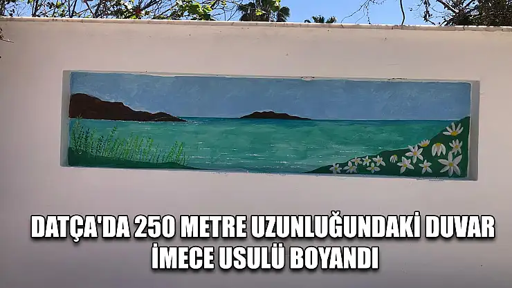 Datça'da 250 metre uzunluğundaki duvar imece usulü boyandı