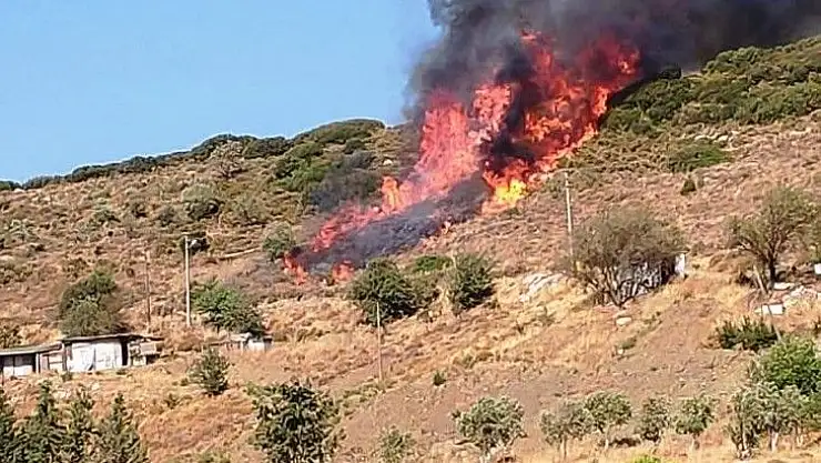 Datça'da makilik yangını başladı