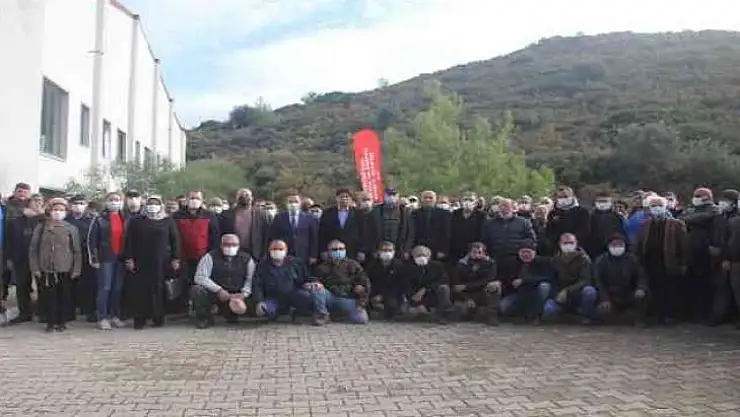 Datça'da orman yangınından mağdur olan 150 arıcıya, 34 bin 296 ton arı yemi dağıtıldı