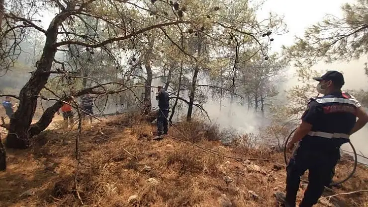 Datça'daki orman yangınına kolluk kuvvetleri de müdahale etti