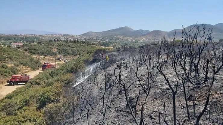 Datça'daki yangında 2 dönüm makilik alan zarar gördü