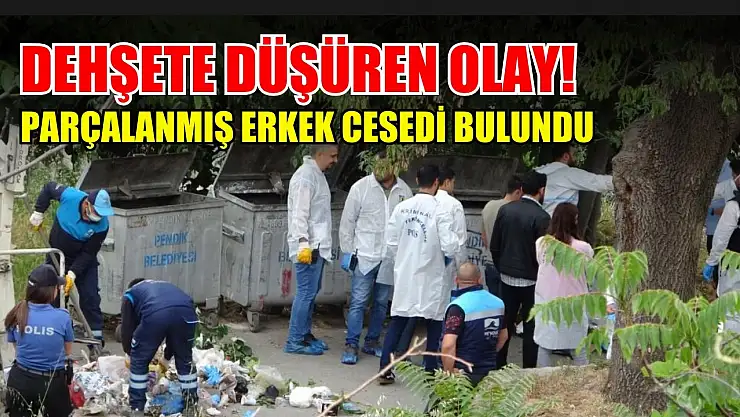 Dehşete düşüren olay! Parçalanmış erkek cesedi bulundu