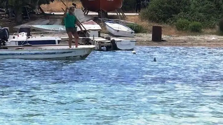 Denizde vahşet