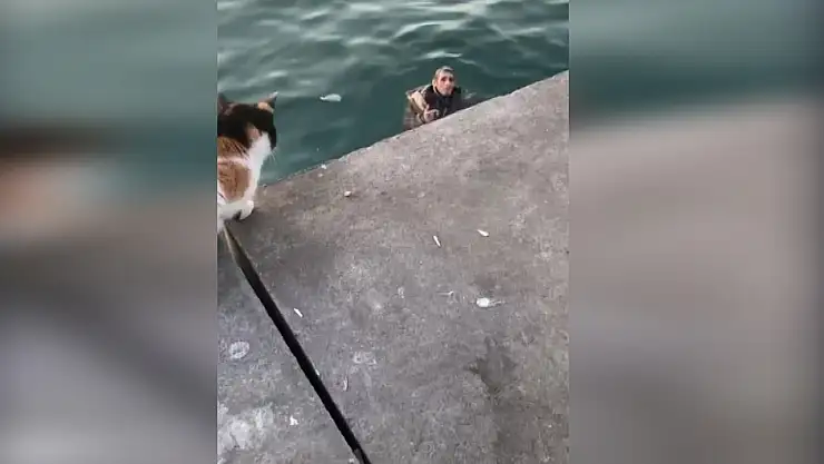 Denize düşen alkollü olduğu iddia edilen vatandaştan ilginç cevap: 'Allah beni boğmuyor'