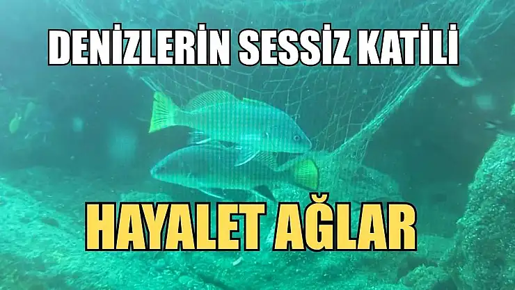 Denizlerin sessiz katili: Hayalet ağlar