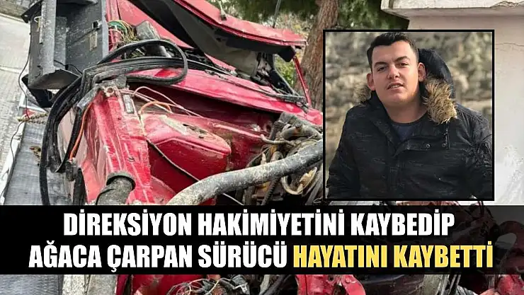 Direksiyon hakimiyetini kaybedip ağaca çarpan sürücü hayatını kaybetti