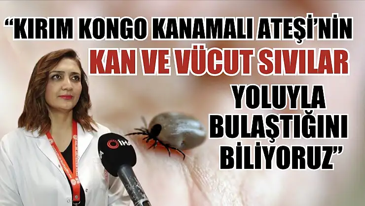 Doç. Dr. Solay: 'Kırım Kongo Kanamalı Ateşi'nin kan ve vücut sıvıları yoluyla bulaştığını biliyoruz'