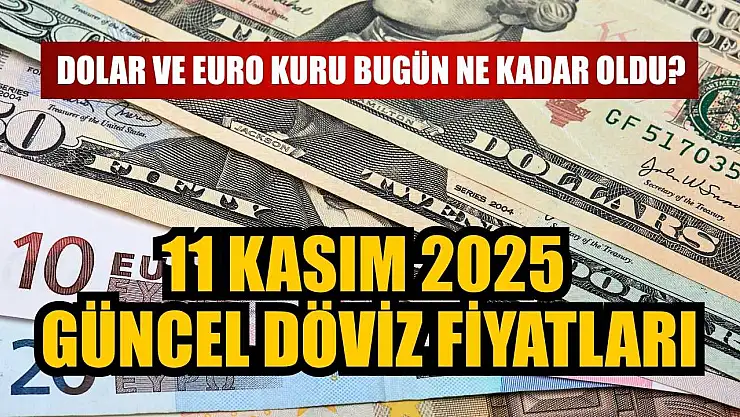 Dolar ve Euro kuru bugün ne kadar oldu?  11 Kasım 2025 güncel döviz fiyatları